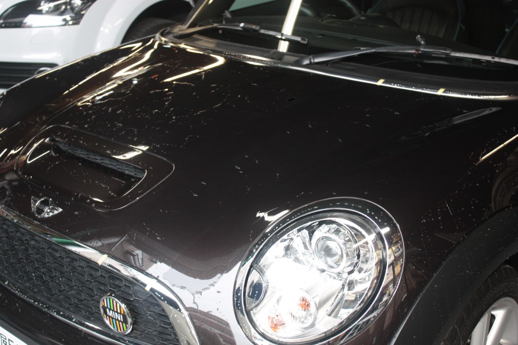 MINI クリーニング 施工の様子