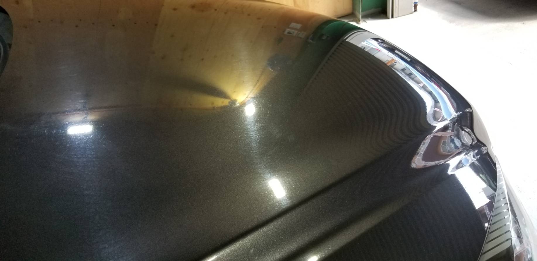 ボディ研磨 施工写真 (6)