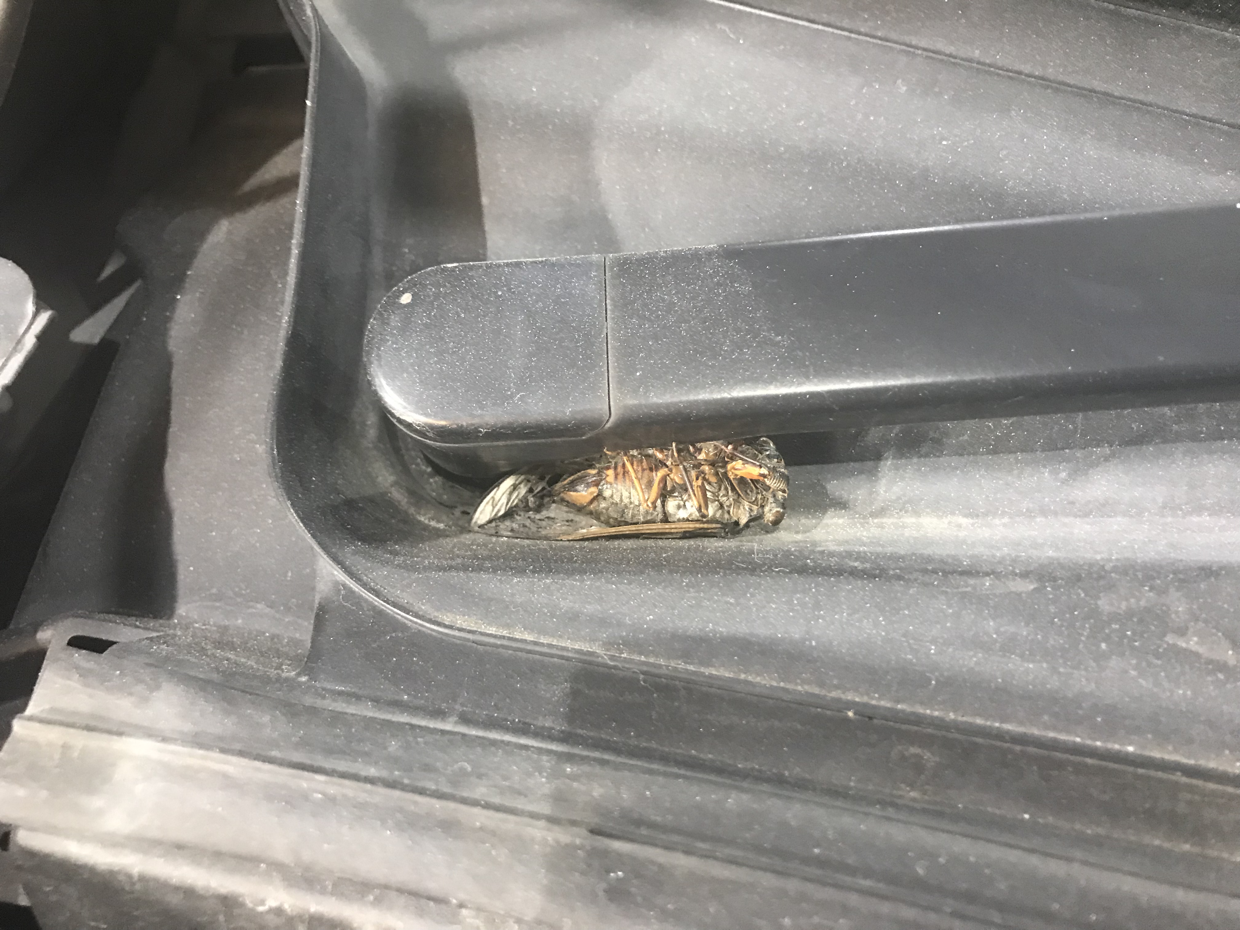 施工写真 (11)