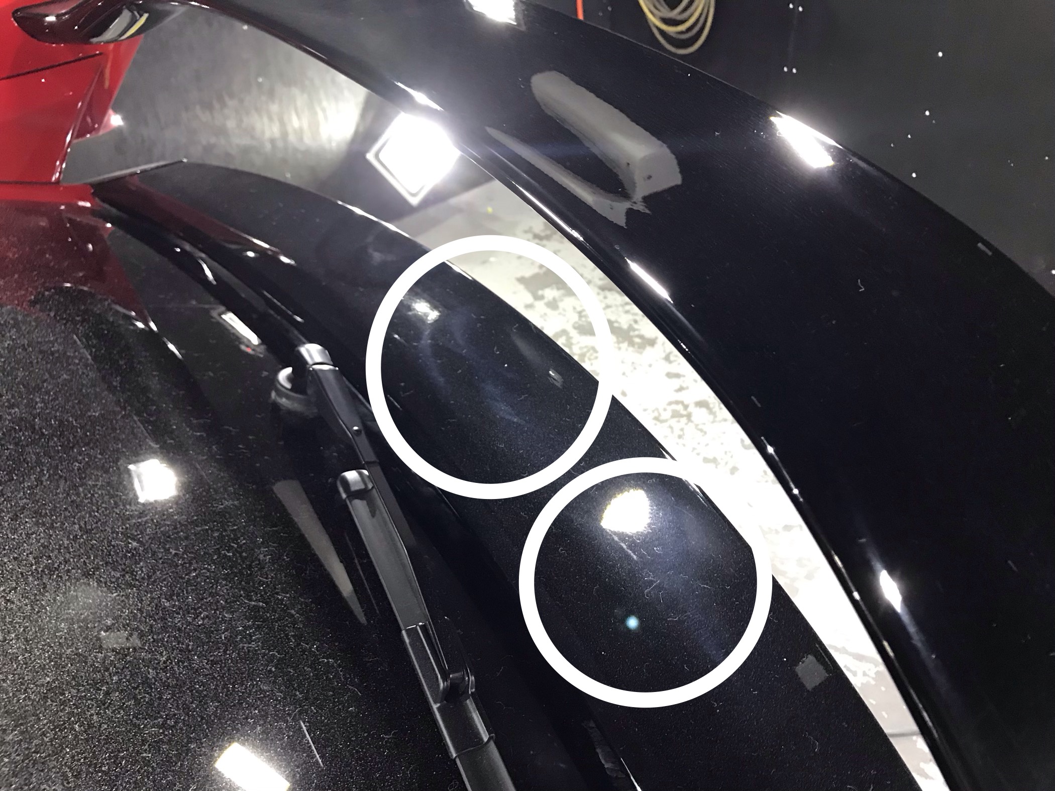 プロテクションフィルム 施工写真 (14)
