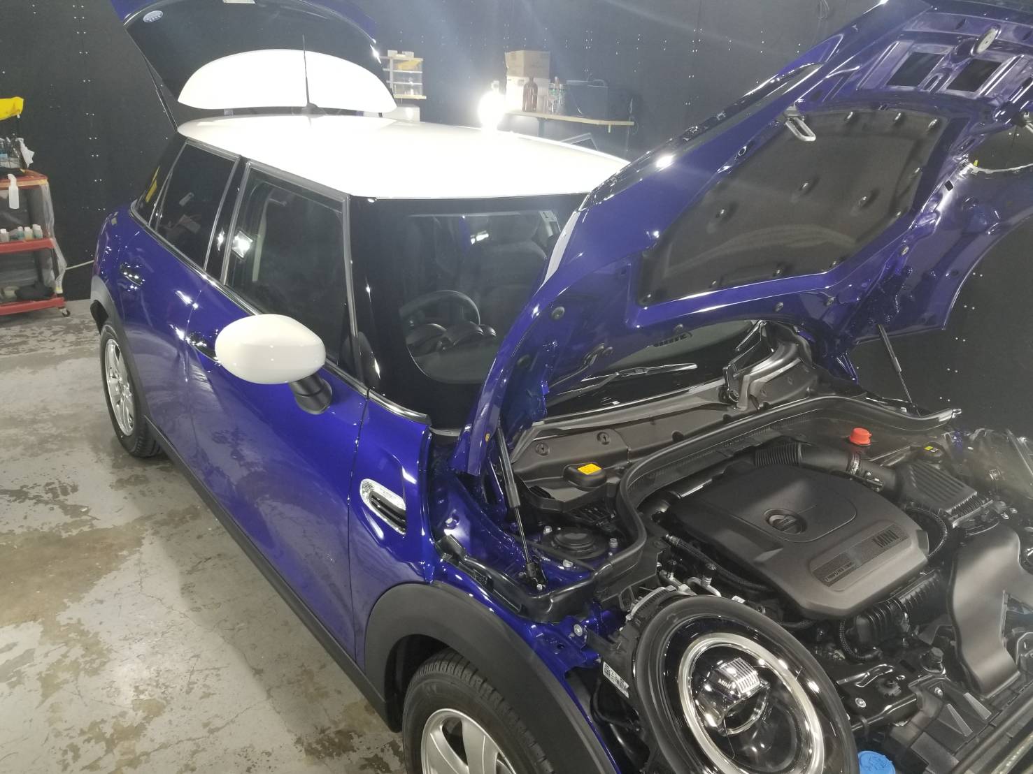 MINI 施工写真 (2)