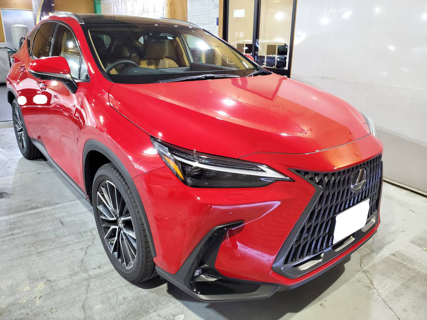 レクサス NX 施工写真 (1)