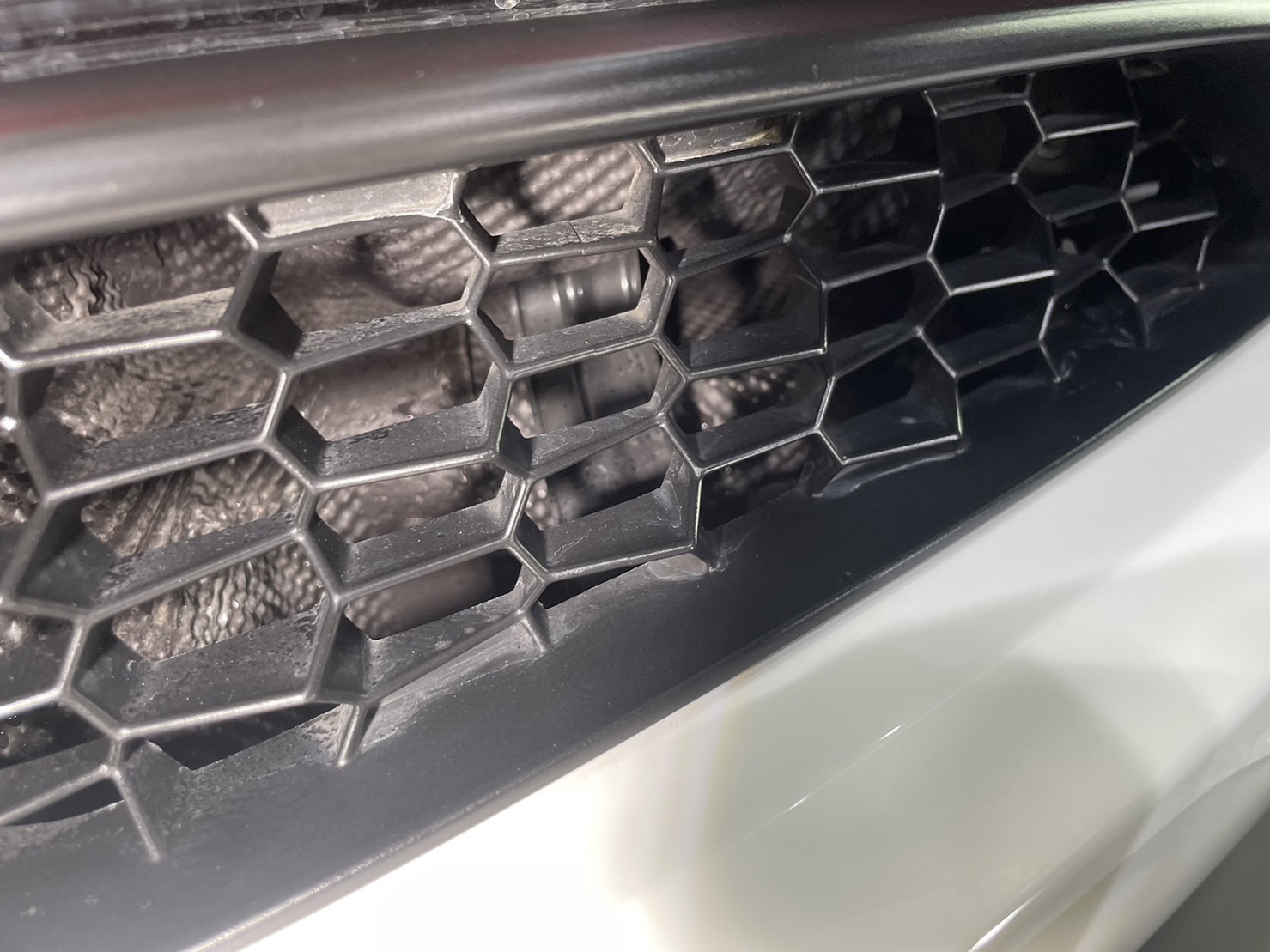 プロテクションフィルム 施工写真 (9)