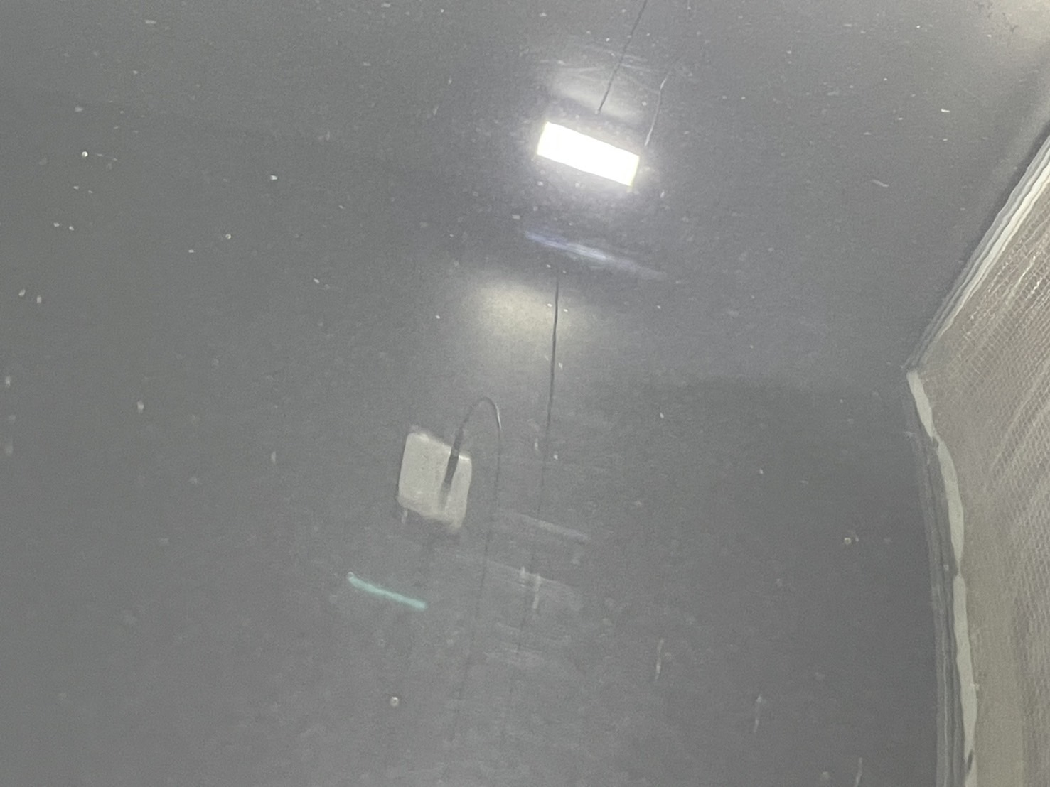 ボディ研磨 施工写真 (4)
