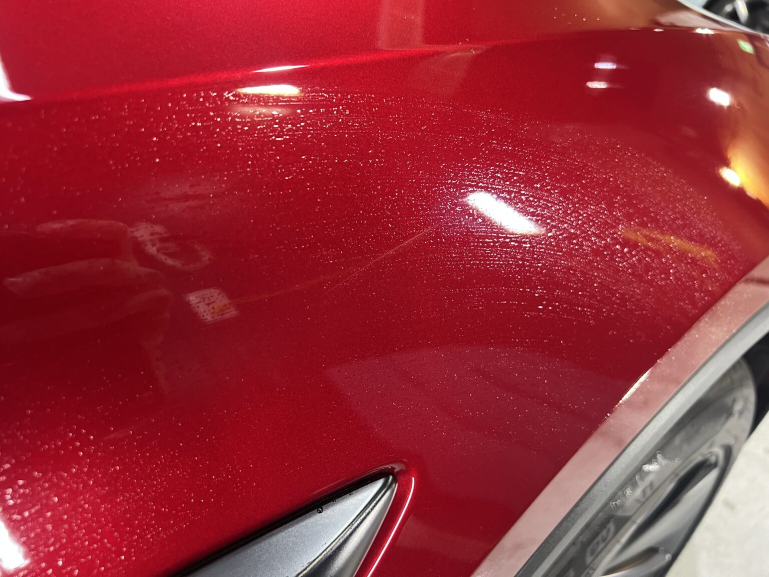 テスラ モデルY(2026年式) ボディコーティング・内装コーティングの写真