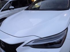 レクサス NX (20系)のボディコーティング｜愛知県蟹江町よりご来店・スタートラスト